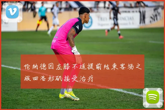 伦纳德因左膝不适提前结束客场之旅回洛杉矶接受治疗